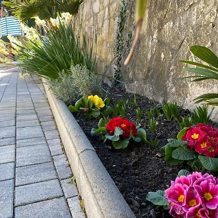 בית נופש - Pocitniska Hiska V Fiesi, *