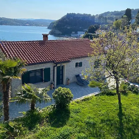 בית נופש - Pocitniska Hiska V Fiesi, *