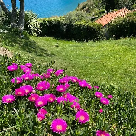 - Pocitniska Hiska V Fiesi, *