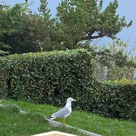 - Pocitniska Hiska V Fiesi, Сasa de vacaciones Piran