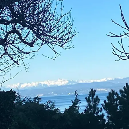 - Pocitniska Hiska V Fiesi,