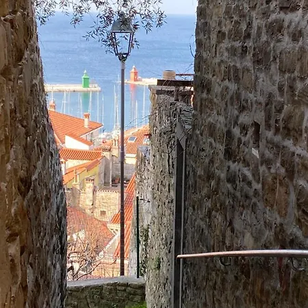 - Pocitniska Hiska V Fiesi, *