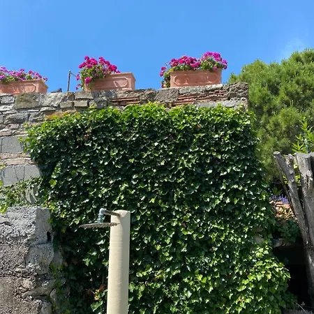 - Pocitniska Hiska V Fiesi,