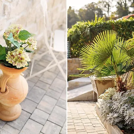 - Pocitniska Hiska V Fiesi, בית נופש פיראן