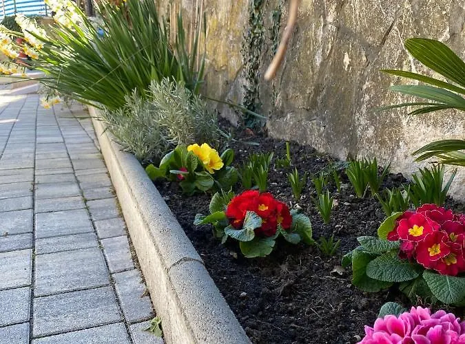 Holiday home - Pocitniska Hiska V Fiesi, *