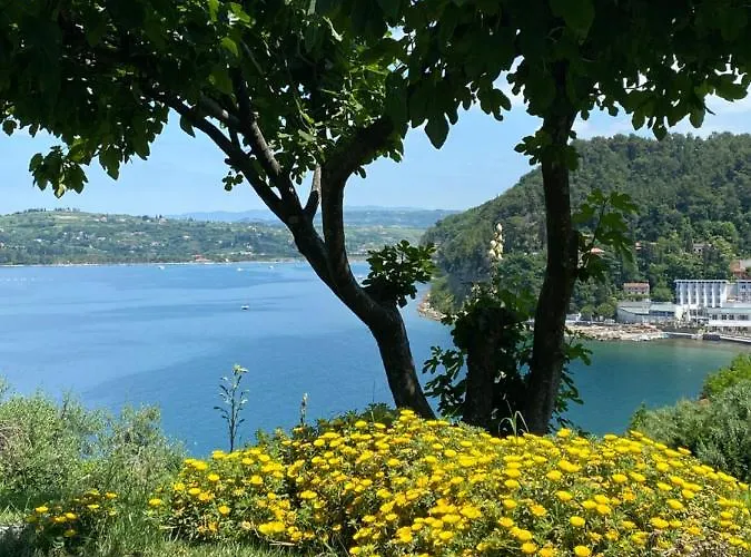 - Pocitniska Hiska V Fiesi, Casa de Férias Piran