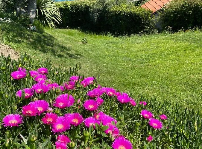 - Pocitniska Hiska V Fiesi, *