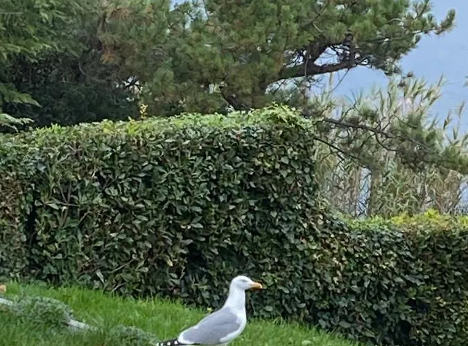 - Pocitniska Hiska V Fiesi, Casa de Férias Piran