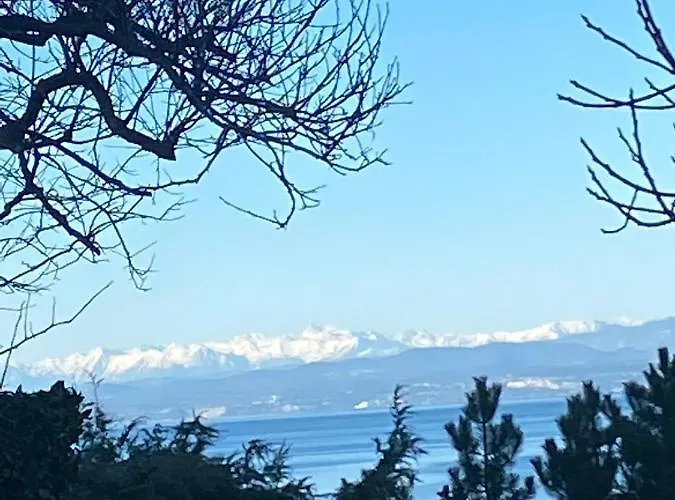 - Pocitniska Hiska V Fiesi,