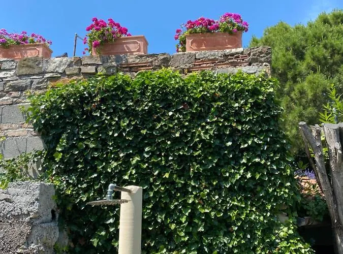 - Pocitniska Hiska V Fiesi,