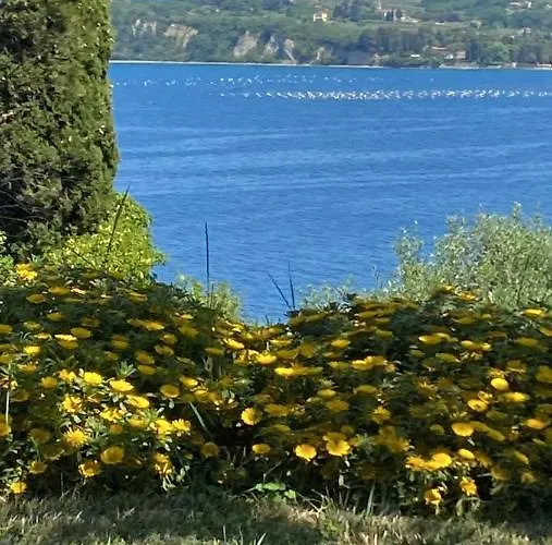 度假居 - Pocitniska Hiska V Fiesi,