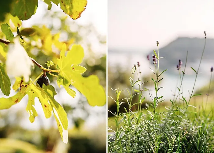 Holiday home - Pocitniska Hiska V Fiesi, *